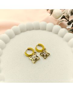 Delicate Charm Earrings