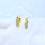 Crystal Encrusted Hoop Earrings